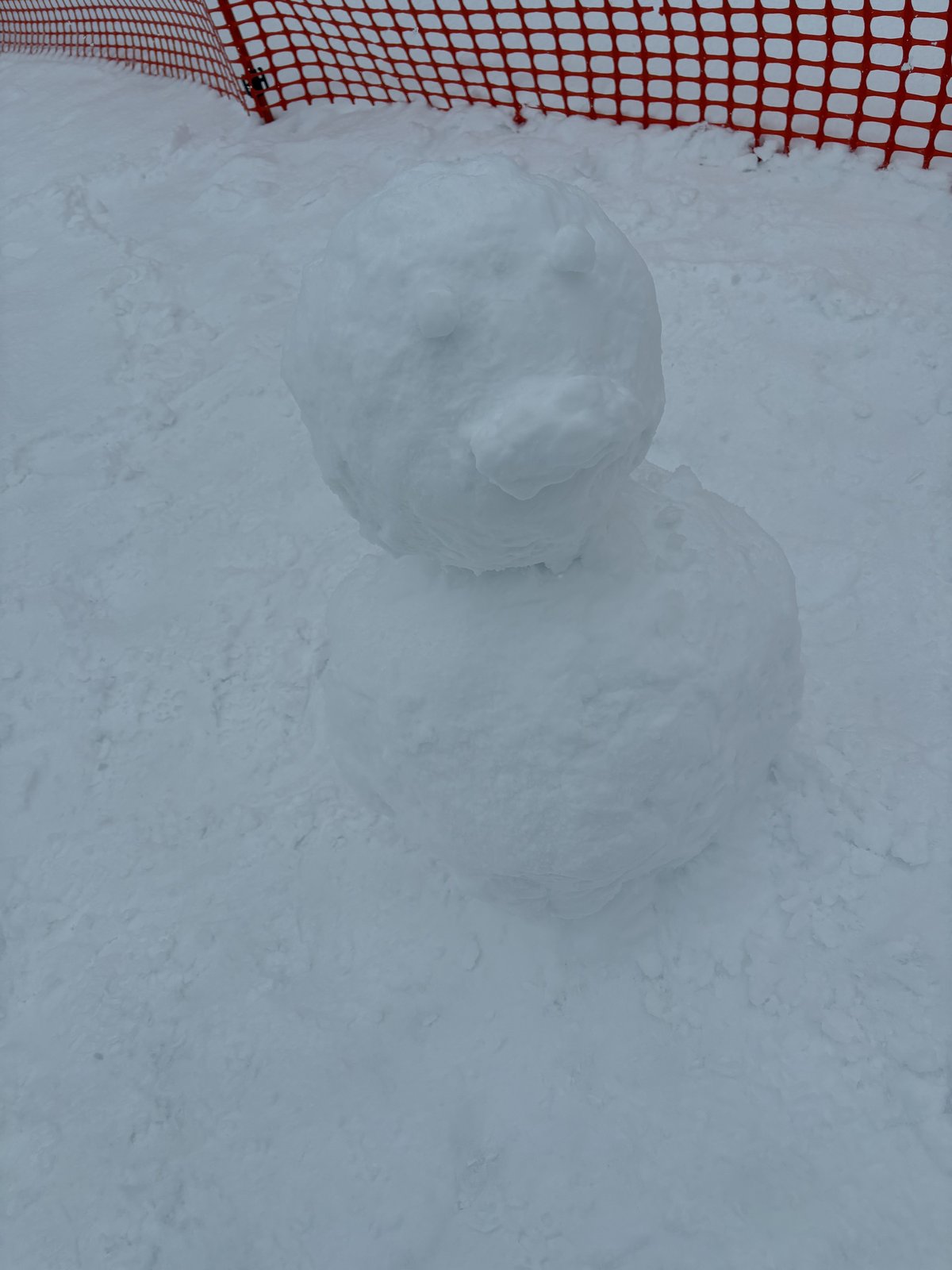 雪で作った「くま」のような雪だるま