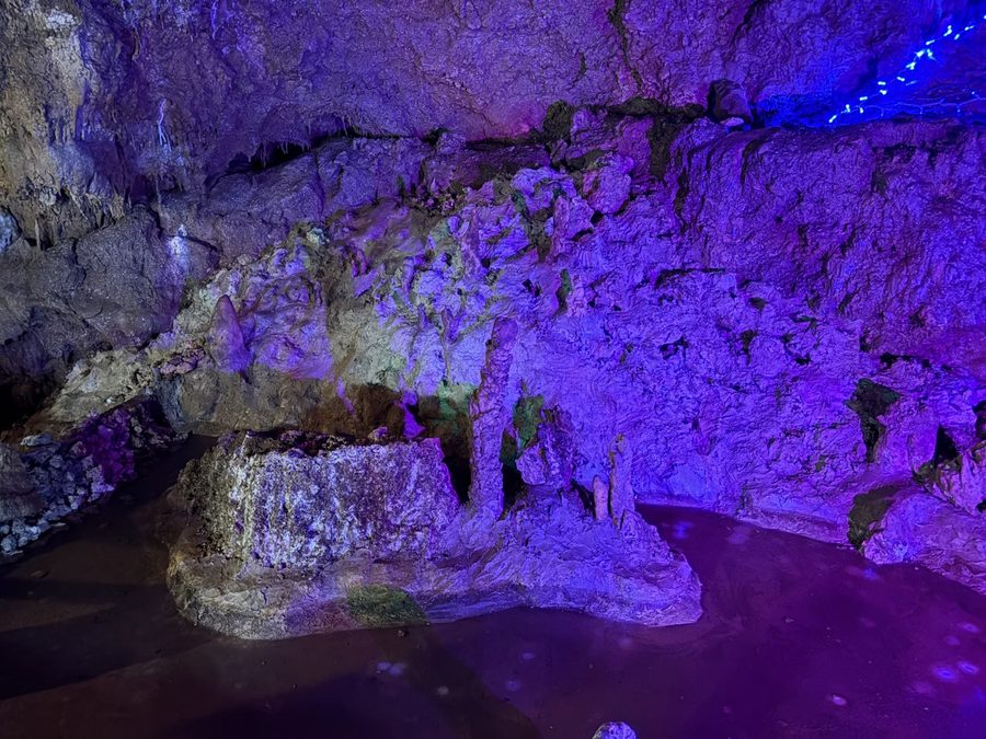 カラフルにライトアップされたエリア