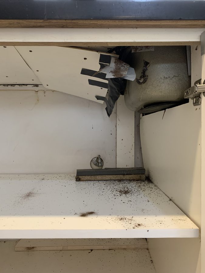 Under the sink — droppings scattered across the shelf.