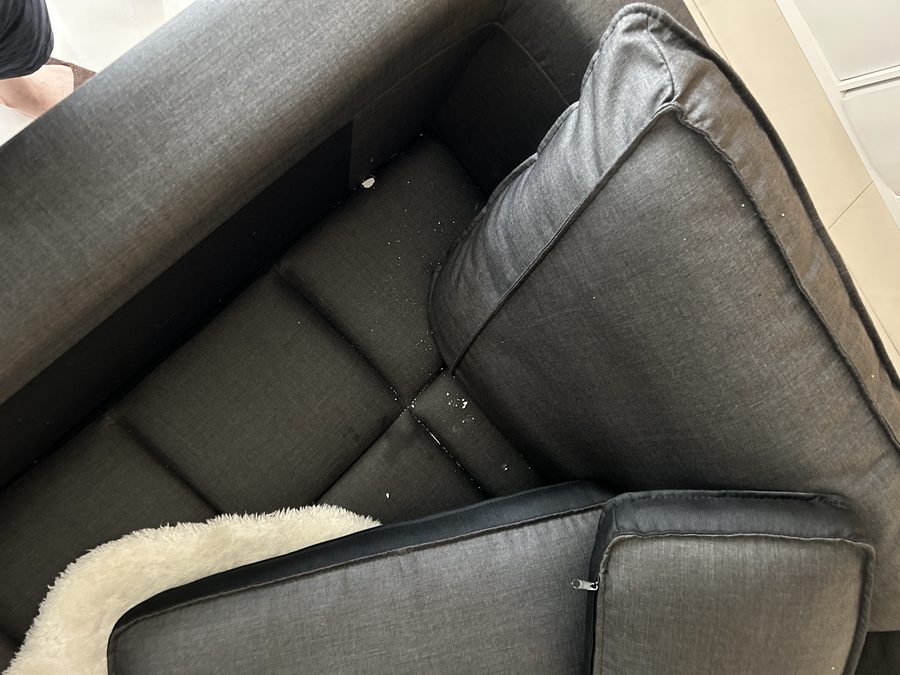 A seam in the sofa — the kind of gap insects use to get in.