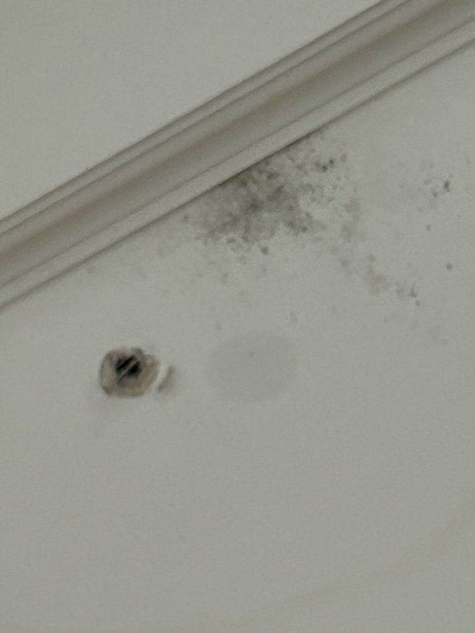 Water coming through the ceiling.