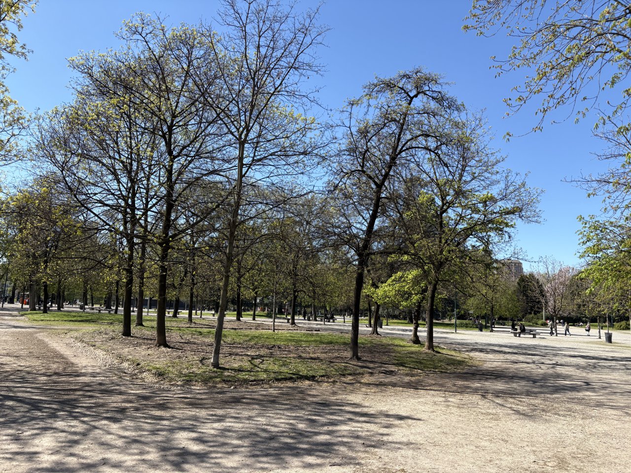 milan_0327_IMG_8686.jpg