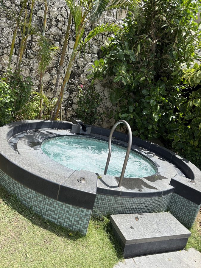 The jacuzzi
