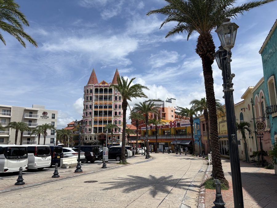 A street lined with palms